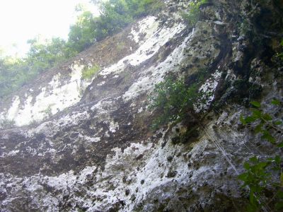 Going down into the Caves of Camuy