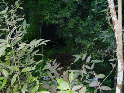 One of the entrances to the Caves of Camuy