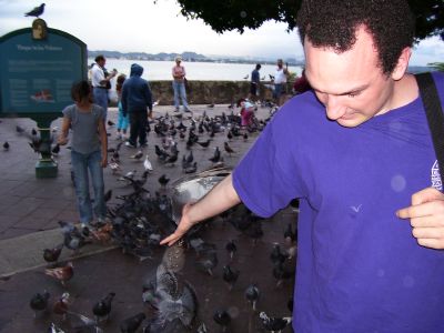 Inst. Gumina feeds the pidgeons